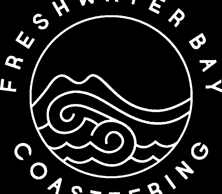 Freshwater Bay Coasteering Ltd