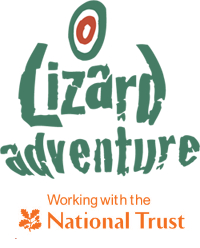 Lizard Adventure